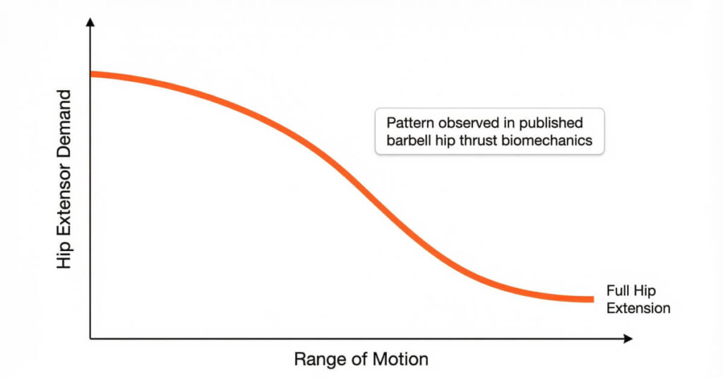 Concept curve showing hip extensor demand decreasing toward full extension in a barbell hip thrust